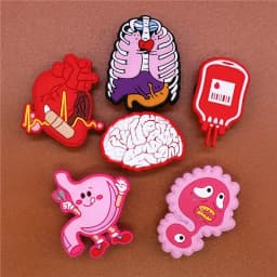 1pcs Human Organs Shoe Charms Heart Brain Stomach PVC Shoe Accessories Decoration Clog Pins Fit Party Kids Gifts