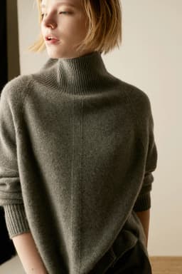 Autumn and Winter New Cashmere Sweater Women's High-Necked Pullover Loose Thick Sweater Short Paragraph Knit Shirt