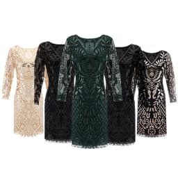 V-neck Long-Sleeve Tulle Embroider Evening Beaded Art Dec Dress Elegant Vintage 1920s Party Dress Great Gatsby Sequin Dress