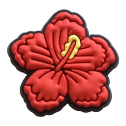 Mexican Shoe Charms for Crocs Accessories Sandals Women Clogs Pins Men Badges Kids Jeans Boy Girls Decorations Buckle Shoes