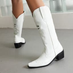 Plus Size Embroidered Skull Pattern Punk Style Women's Mid Boots Pointed Toe Chunky Heel Plush Embroidered Slip-On Boots