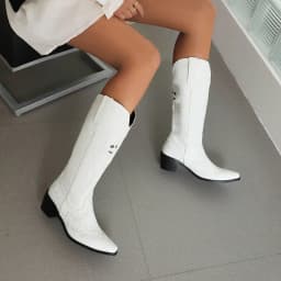Plus Size Embroidered Skull Pattern Punk Style Women's Mid Boots Pointed Toe Chunky Heel Plush Embroidered Slip-On Boots