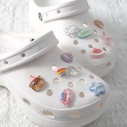 Cute Cartoon Animals Hole Shoe Charms Decoration Shoe Buckle Transparent Floral DIY Shoes Flower Accessories