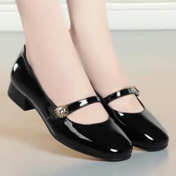 Spring Autumn Fashion Women's Shoes Mary Jane Style Shoes Low Heel Shallow Mouth Round Toe Comfort Solid Color Party Shoes