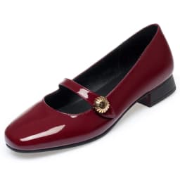 Spring Autumn Fashion Women's Shoes Mary Jane Style Shoes Low Heel Shallow Mouth Round Toe Comfort Solid Color Party Shoes