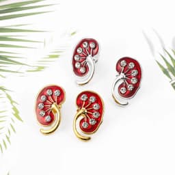 1 Pair Kidney Shape Pin Medical Jewelry as Gift for Nephrologist/Doctors Red Crystal Enamel Jewellery Women Lapel Pin Shirt Bag