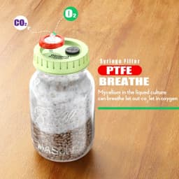 6PCS Liquid Culture Lids - Autoclavable 70mm Regular Mouth Jar Lids with Heavy Duty Injection Port for Mushroom Cultivation