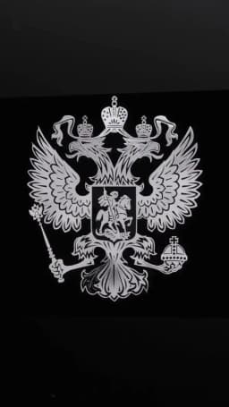 New Coat of Arms of Russia Nickel Metal Car Sticker Window Laptop Phone Decal Russian Federation Eagle Emblem 3D Car Styling