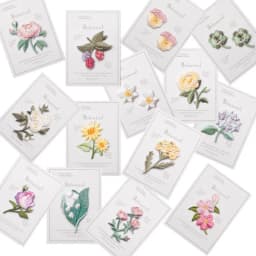 Flower Embroidery Stickers Iron On Patches Patch For Clothing Parches Ropa Termoadhesiv Bordados Para La Naszywki Toppe Vestiti