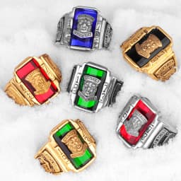 1973 Walton Tiger Stainless Steel Rhinestone Mens Rings Simple Luxury for Male Boyfriend Biker Jewelry Creativity Gift Wholesale