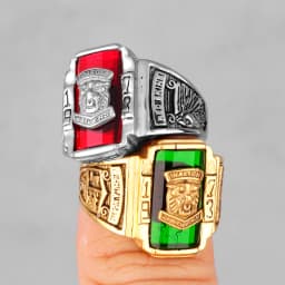1973 Walton Tiger Stainless Steel Rhinestone Mens Rings Simple Luxury for Male Boyfriend Biker Jewelry Creativity Gift Wholesale
