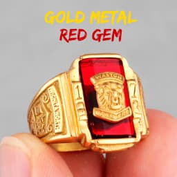 1973 Walton Tiger Stainless Steel Rhinestone Mens Rings Simple Luxury for Male Boyfriend Biker Jewelry Creativity Gift Wholesale