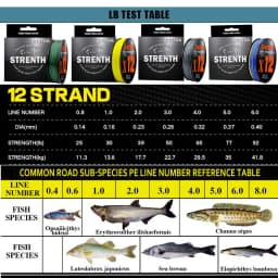 12 Strands Imported Rawsilk Braid Line 100-500M Standard Line Number 0.8#-6.0# More Practical Forlure Fishing Line