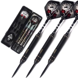 CUESOUL Dragon Series 25g Steel Tip Darts