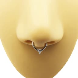 Water Drop Septum Piercing Nose Ring Clicker Cubic Zirconia Cartilage Daith Earrings Body Jewelry 316L Surgical Steel Segment