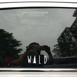 Wild Tree Vinyl Decal Sticker , Nature Decals Sticker For Car Window Laptop Computer MacBook Decor