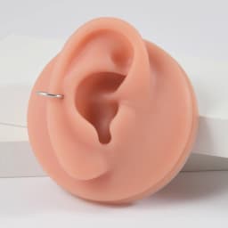 1PC Surgical Steel Nose Rings Septum Clicker Segment Hinged Ring Nose Ear Cartilage Tragus Helix Ear Lobe Body Piercing Jewelry