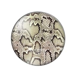 New Animal skin leopard Print Patterns 8mm/10mm/12mm/18mm/20mm/25mm Round photo glass cabochon demo flat back Making findings