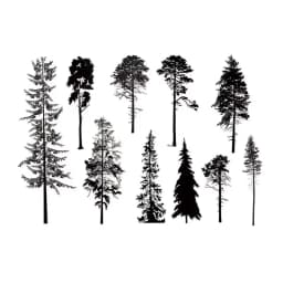 Trees Transparent Clear Stamps for DIY Scrapbooking/Card Making Fun Decoration Supplies A0074