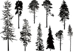 Trees Transparent Clear Stamps for DIY Scrapbooking/Card Making Fun Decoration Supplies A0074