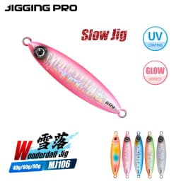 JIGGING PRO 40g 60g 80g Slow Jig Shore Jigging Lure Sea Fishing Bait Glow Slow Fall Fishing Lure