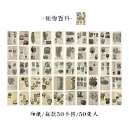 JIANQI 50 pcs Scrapbooking Adhesive Diy Stickers Vintage INS Stickers Book for Decorative Diary Album Junk Journal Supplies
