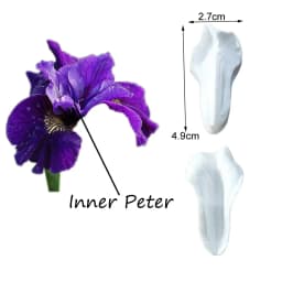 NEW 2PCS Big Bearded Iris Flower Petals Silicone Mold Fondant Cake Decorating Tool Chocolate Gumpaste Sugar Bakeware Mould M2830