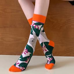 Fashion Colorful Spring Autumn Stocking Women's Socks Plant Hedgehog Slothsi Cotton Socks Personality Straight Trendy Socks