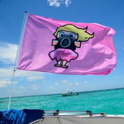 Custom Flag 90x90cm Large Printed Pattern Clearly Flying Outdoor Advertising Business Promotion National 3x3FT Banners