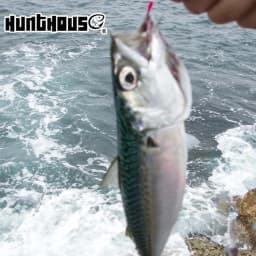 Hunthouse 6pcs/lot Fishing Spoon Lure Trolling Movement Lure 45mm/60mm Teaspoon Like Baits For Blue Saltwater Fish Tackle