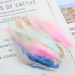 Beautiful Chicken Feather 10-15cm/4-6Inch Rooster Feathers For Crafts DIY Jewelry Accessories Wedding Decoration Plumas 50pcs