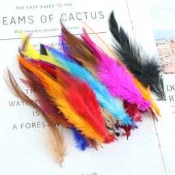 Beautiful Chicken Feather 10-15cm/4-6Inch Rooster Feathers For Crafts DIY Jewelry Accessories Wedding Decoration Plumas 50pcs