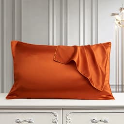 DISANGNI 100% Pure Mulberry Silk Pillowcase for Hair and Skin, Natural Double-Sided Silk Pillow Cover, Soft and Breathable, 1 Pi
