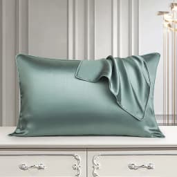 DISANGNI 100% Pure Mulberry Silk Pillowcase for Hair and Skin, Natural Double-Sided Silk Pillow Cover, Soft and Breathable, 1 Pi