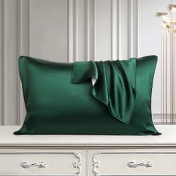 DISANGNI 100% Pure Mulberry Silk Pillowcase for Hair and Skin, Natural Double-Sided Silk Pillow Cover, Soft and Breathable, 1 Pi
