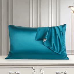 DISANGNI 100% Pure Mulberry Silk Pillowcase for Hair and Skin, Natural Double-Sided Silk Pillow Cover, Soft and Breathable, 1 Pi
