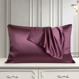 DISANGNI 100% Pure Mulberry Silk Pillowcase for Hair and Skin, Natural Double-Sided Silk Pillow Cover, Soft and Breathable, 1 Pi