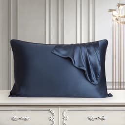 DISANGNI 100% Pure Mulberry Silk Pillowcase for Hair and Skin, Natural Double-Sided Silk Pillow Cover, Soft and Breathable, 1 Pi
