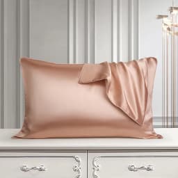 DISANGNI 100% Pure Mulberry Silk Pillowcase for Hair and Skin, Natural Double-Sided Silk Pillow Cover, Soft and Breathable, 1 Pi