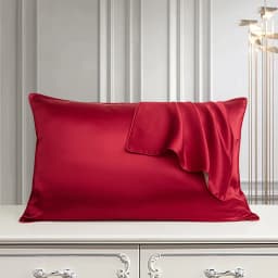 DISANGNI 100% Pure Mulberry Silk Pillowcase for Hair and Skin, Natural Double-Sided Silk Pillow Cover, Soft and Breathable, 1 Pi