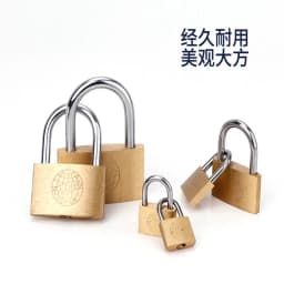5 Pcs Same Key Copper Padlock Wolf Head Brass Small Locks Door 20mm 25mm 30mm 40mm Not Rust Lock Core Include 15 Keys