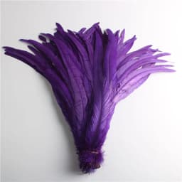 50pcs Natural Chick Tail Feathers 25-40cm / 10-16inch Clothing Decoration Stage Performance Rooster Tail Feathers Plume