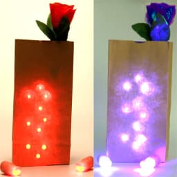 Bag O Lites (Red And Blue ) Magic Tricks Toys Including D'Light Fingers And Rose Flowers Stage Light Lovers Couples Maigc G8368