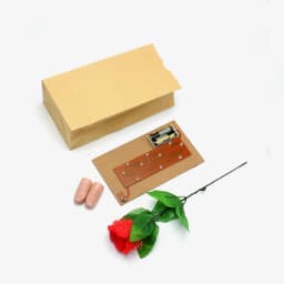 Bag O Lites (Red And Blue ) Magic Tricks Toys Including D'Light Fingers And Rose Flowers Stage Light Lovers Couples Maigc G8368