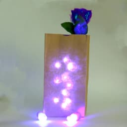 Bag O Lites (Red And Blue ) Magic Tricks Toys Including D'Light Fingers And Rose Flowers Stage Light Lovers Couples Maigc G8368