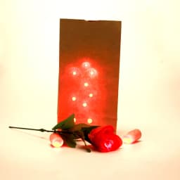 Bag O Lites (Red And Blue ) Magic Tricks Toys Including D'Light Fingers And Rose Flowers Stage Light Lovers Couples Maigc G8368