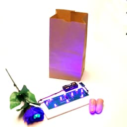 Bag O Lites (Red And Blue ) Magic Tricks Toys Including D'Light Fingers And Rose Flowers Stage Light Lovers Couples Maigc G8368