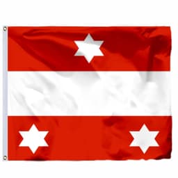 Austria Imperial Standard Flags 21X21CM 2X2FT 4X4FT 120X120CM Imperial Standard Infantry Pattern Mix Early 19th Century Banner