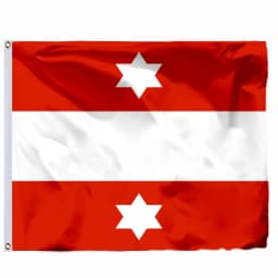 Austria Imperial Standard Flags 21X21CM 2X2FT 4X4FT 120X120CM Imperial Standard Infantry Pattern Mix Early 19th Century Banner