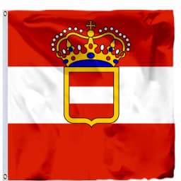 Austria Imperial Standard Flags 21X21CM 2X2FT 4X4FT 120X120CM Imperial Standard Infantry Pattern Mix Early 19th Century Banner